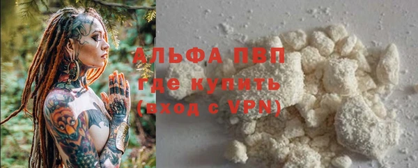 спиды Дмитровск