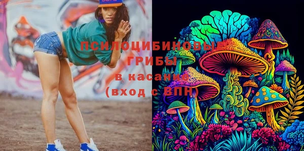 каннабис Алзамай