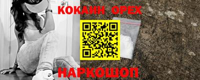 шишки Камышлов
