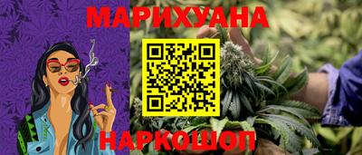 шишки Камышлов