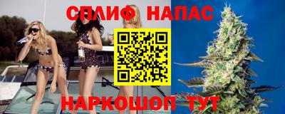 шишки Камышлов