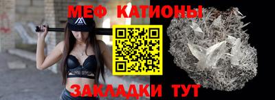 шишки Камышлов