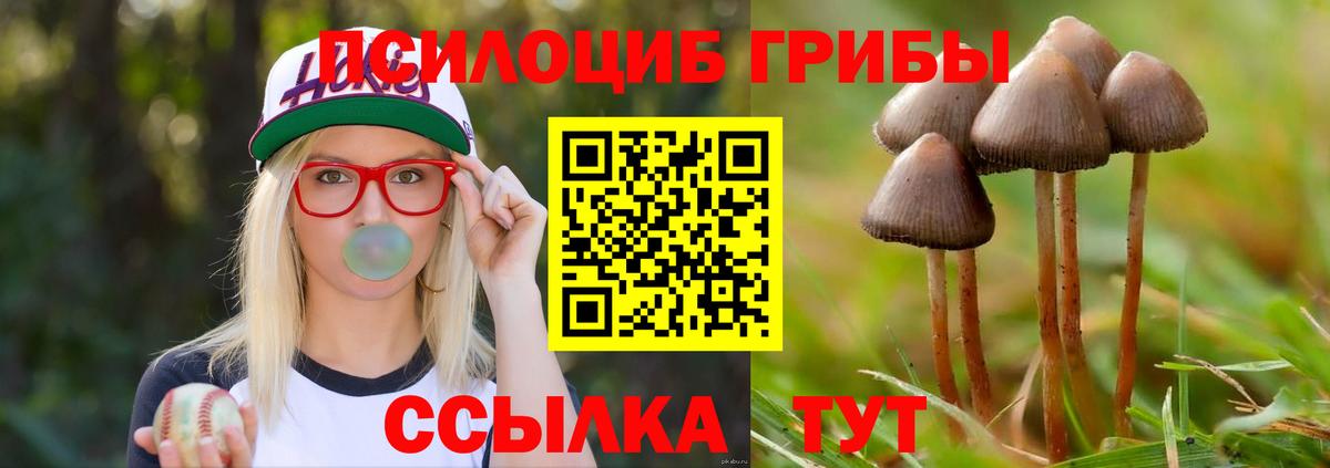 Псилоцибиновые грибы прущие грибы Лениногорск