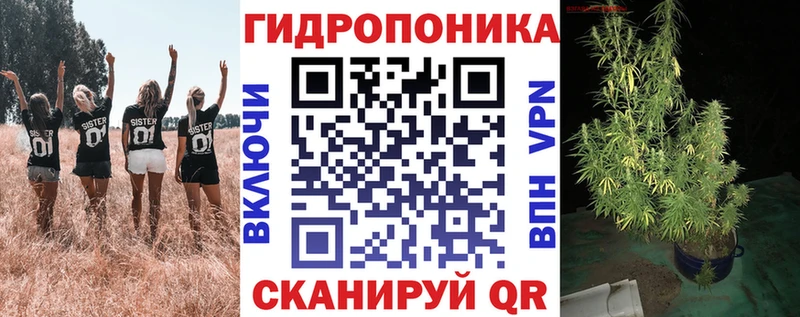 Шишки марихуана Amnesia  цены наркотик  Лениногорск 